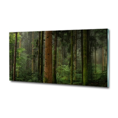 Photo printed on glass Fog in the forest