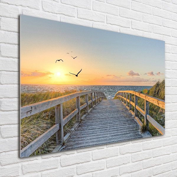 Glass picture wall art Path to the beach