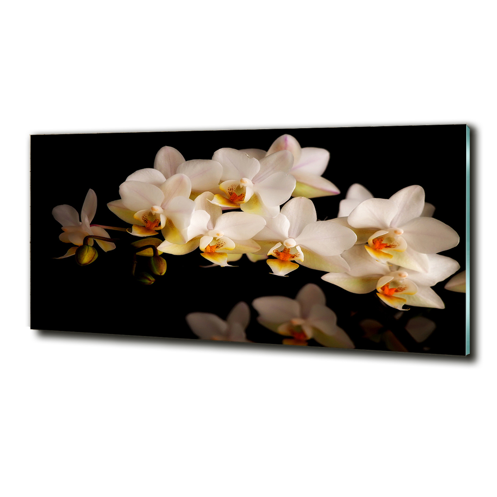 Wall art on glass Orchid