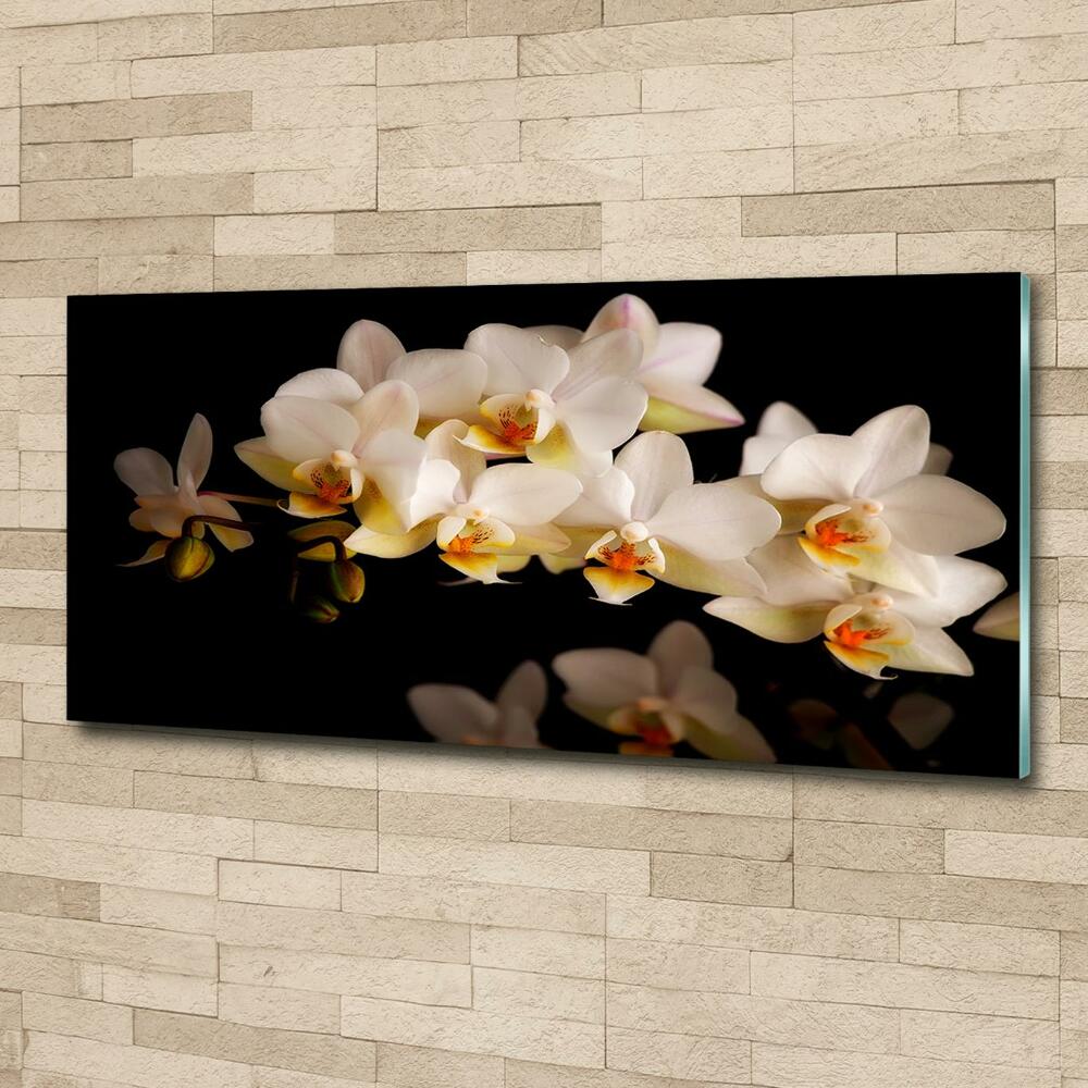 Wall art on glass Orchid