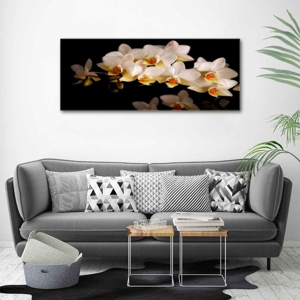 Wall art on glass Orchid