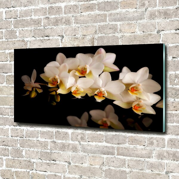 Wall art on glass Orchid