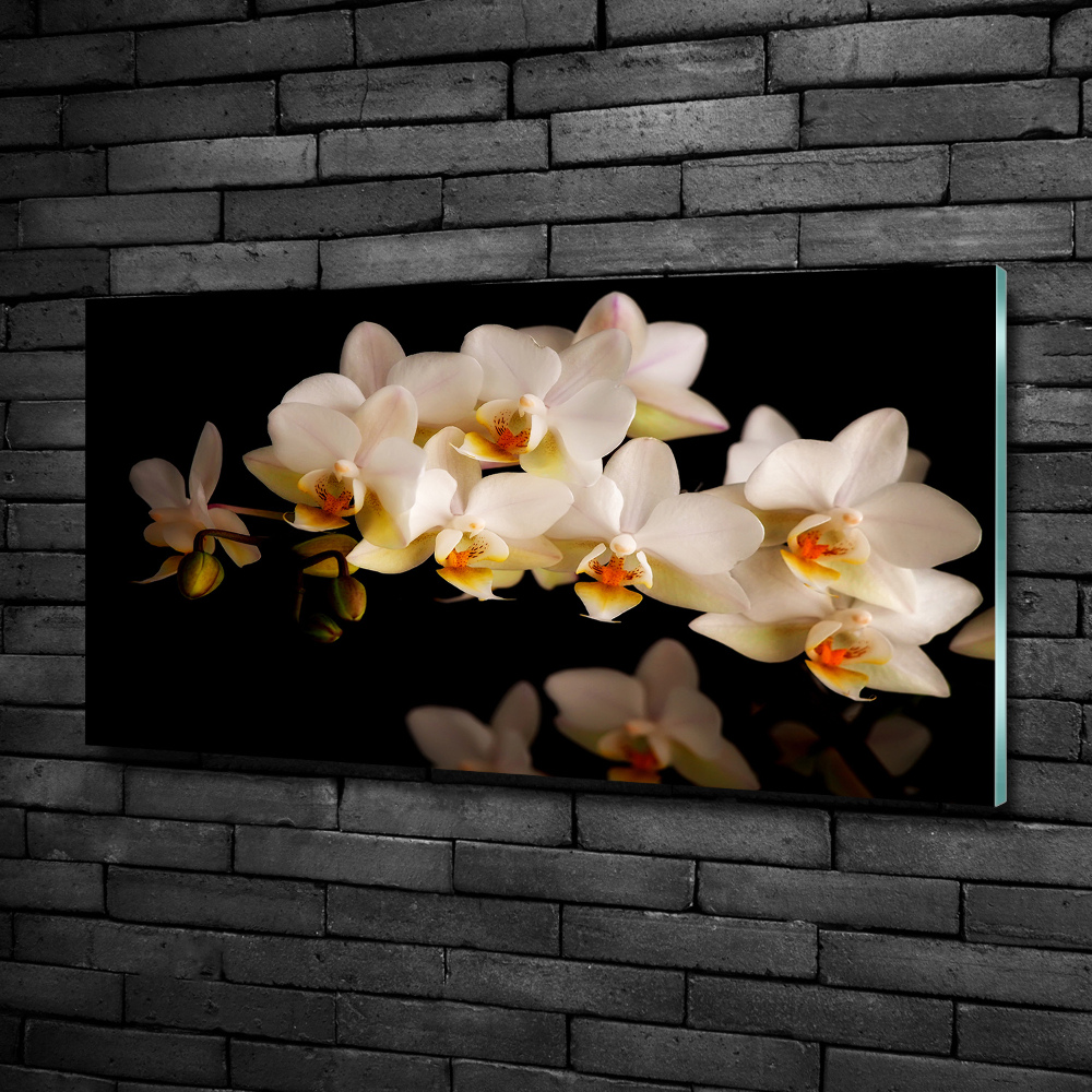 Wall art on glass Orchid