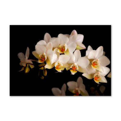 Wall art on glass Orchid