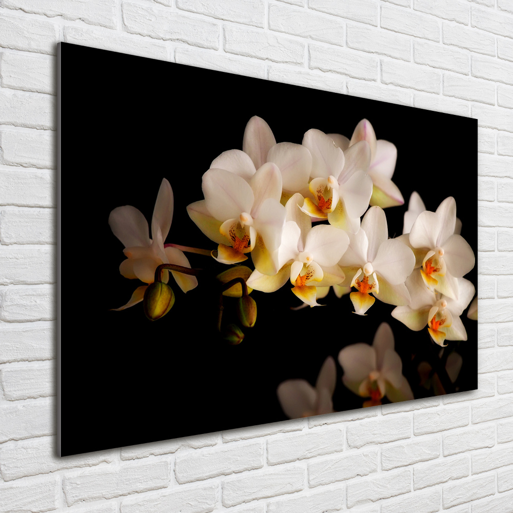 Wall art on glass Orchid