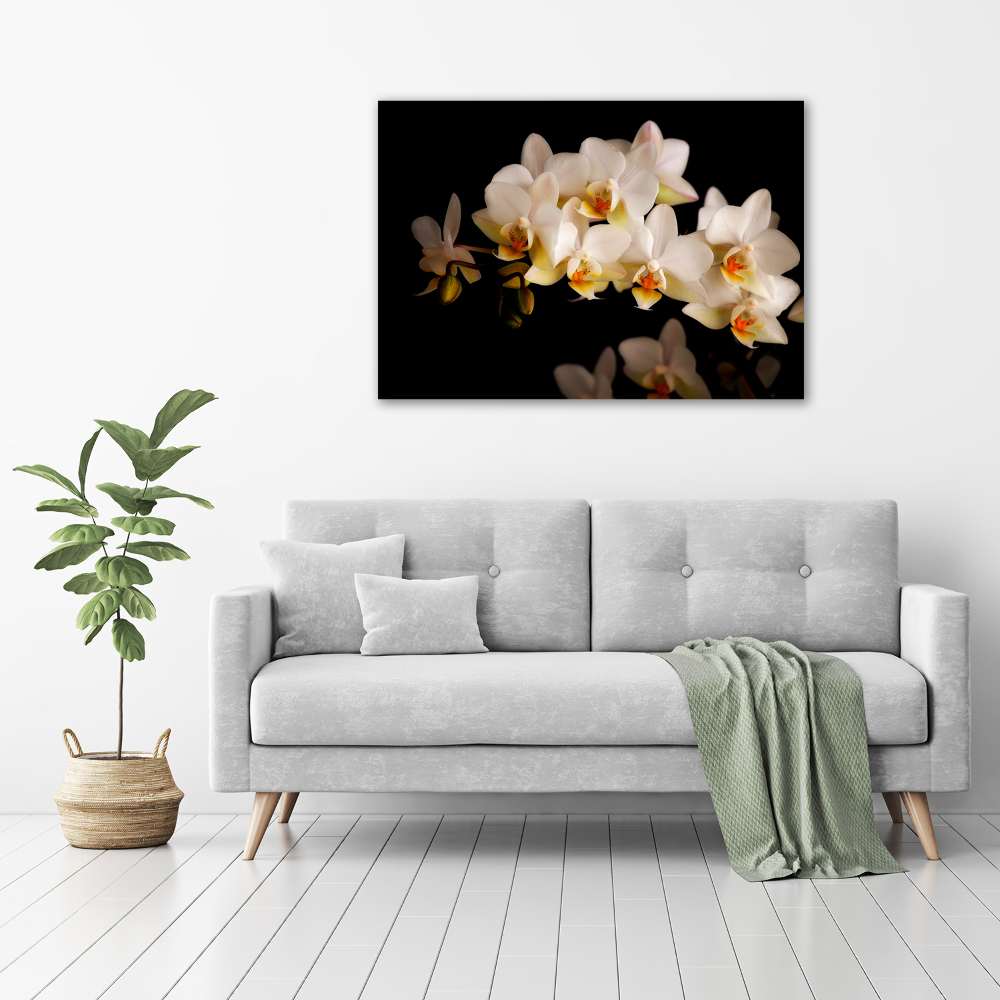 Wall art on glass Orchid