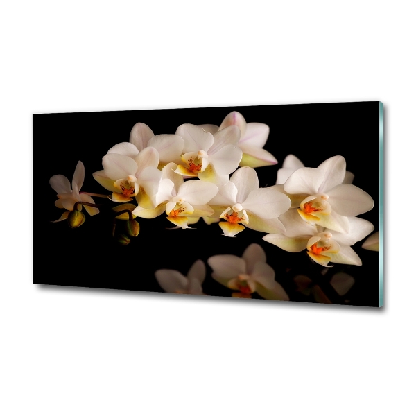 Wall art on glass Orchid