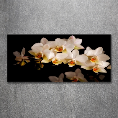 Wall art on glass Orchid