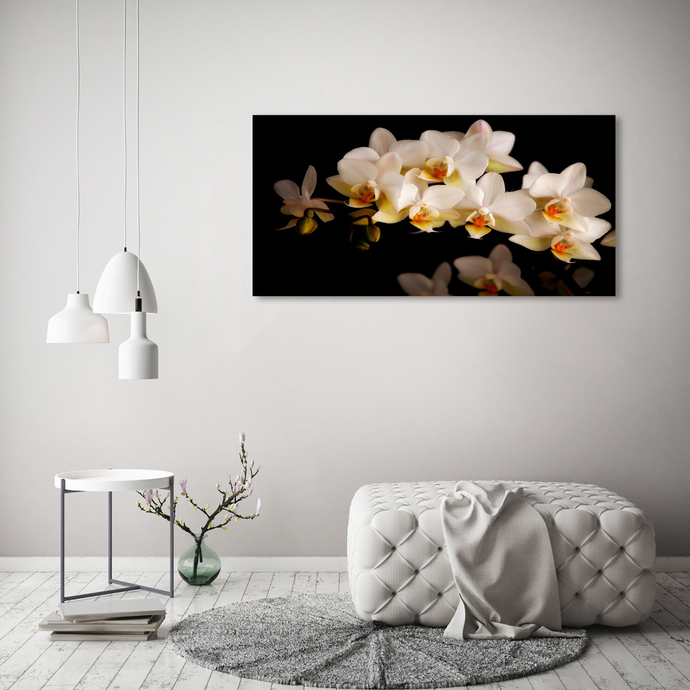 Wall art on glass Orchid