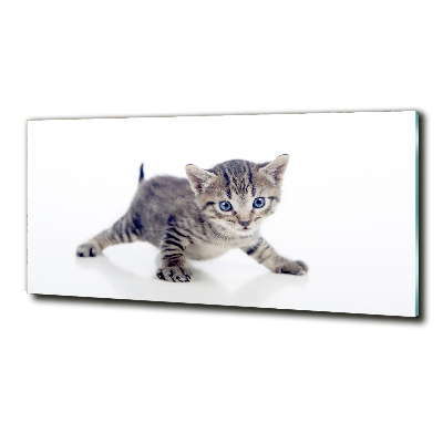 Wall art on glass Small cat