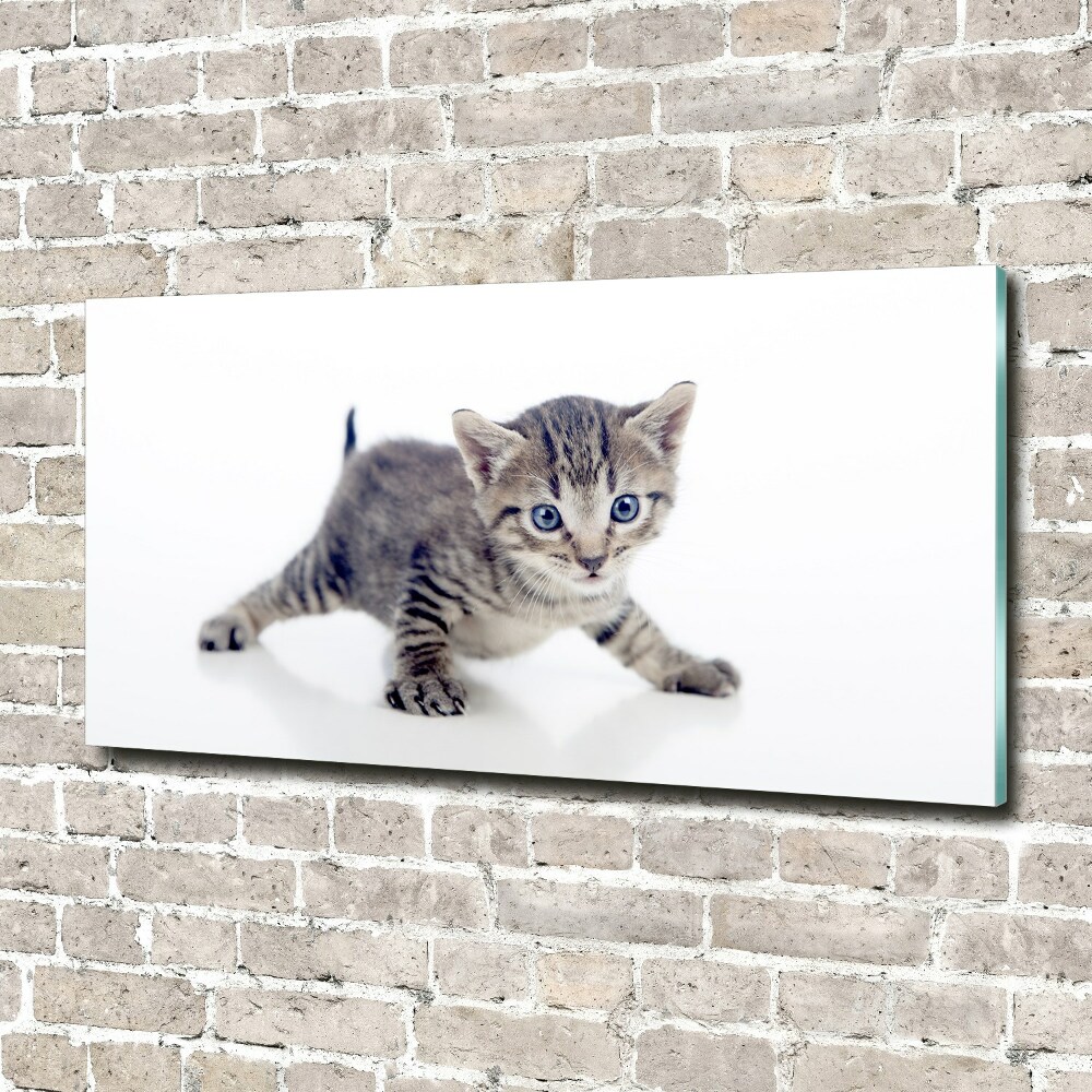 Wall art on glass Small cat