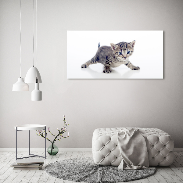 Wall art on glass Small cat