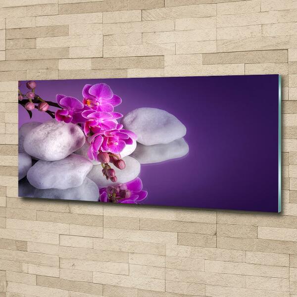 Wall art on glass Orchid