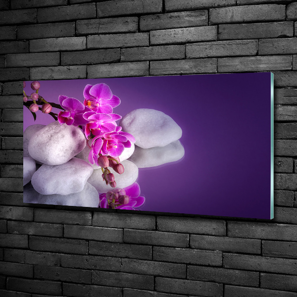 Wall art on glass Orchid