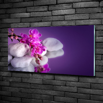 Wall art on glass Orchid