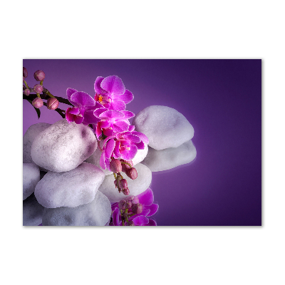 Wall art on glass Orchid