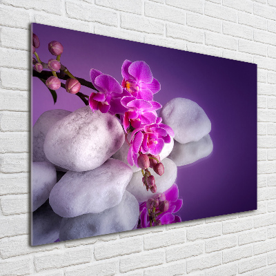 Wall art on glass Orchid