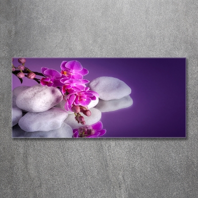 Wall art on glass Orchid