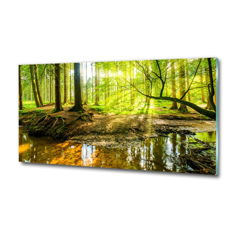 Glass picture wall art Pond in the forest