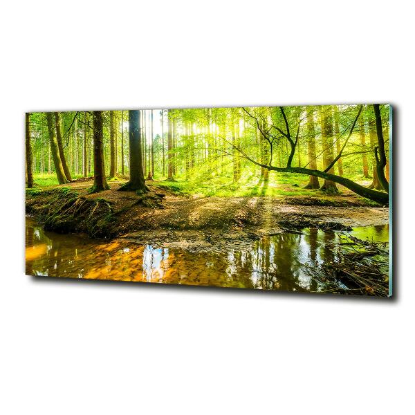 Glass picture wall art Pond in the forest