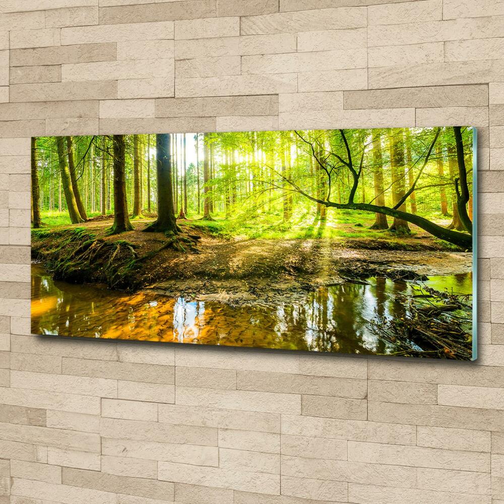 Glass picture wall art Pond in the forest