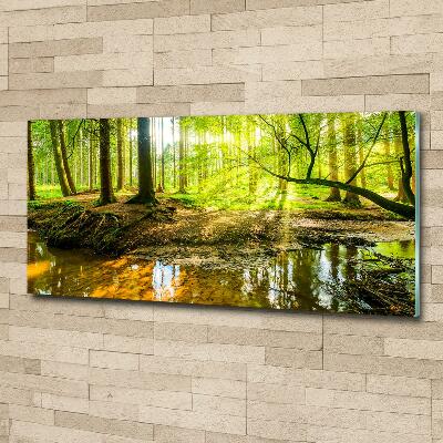 Glass picture wall art Pond in the forest