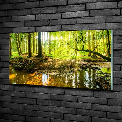 Glass picture wall art Pond in the forest