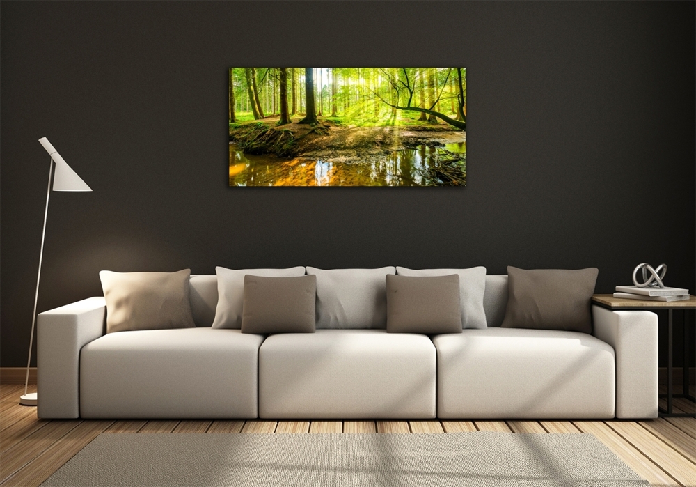 Glass picture wall art Pond in the forest