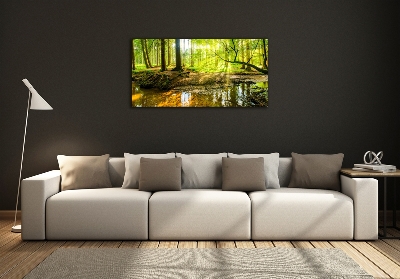 Glass picture wall art Pond in the forest