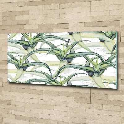 Glass picture wall art Aloe