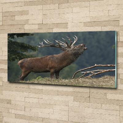 Wall art on glass Deer on the hill