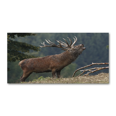 Wall art on glass Deer on the hill