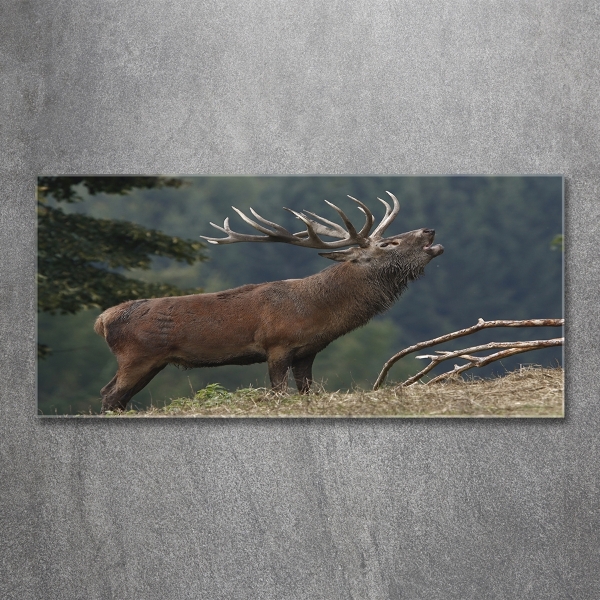 Wall art on glass Deer on the hill