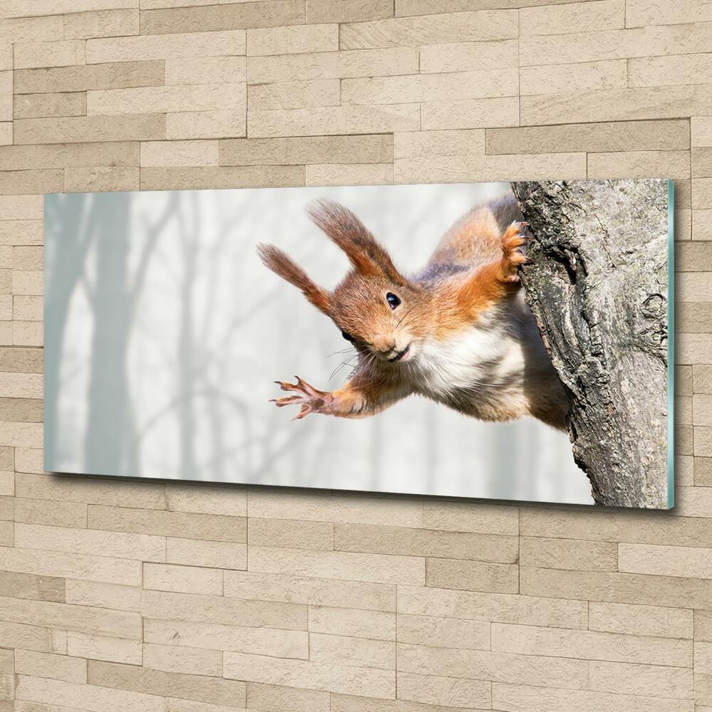 Glass wall art Squirrel