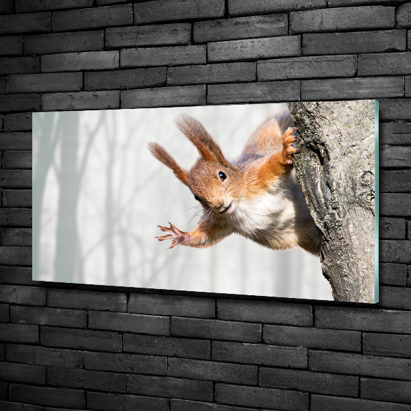 Glass wall art Squirrel