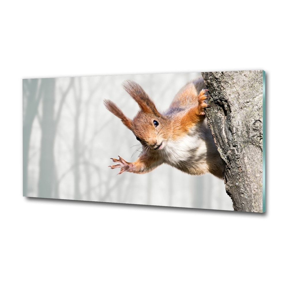 Glass wall art Squirrel