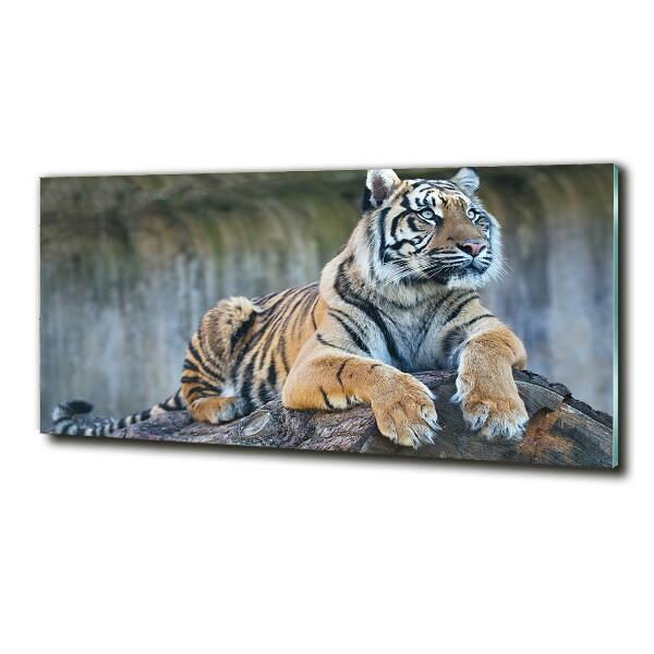 Glass wall art Tiger