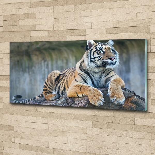 Glass wall art Tiger