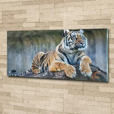 Glass wall art Tiger