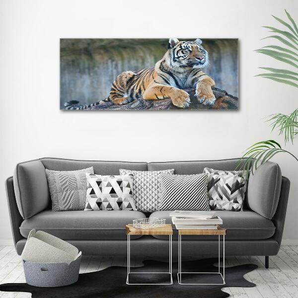 Glass wall art Tiger