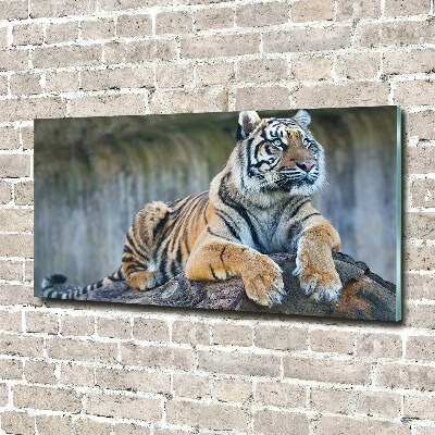 Glass wall art Tiger