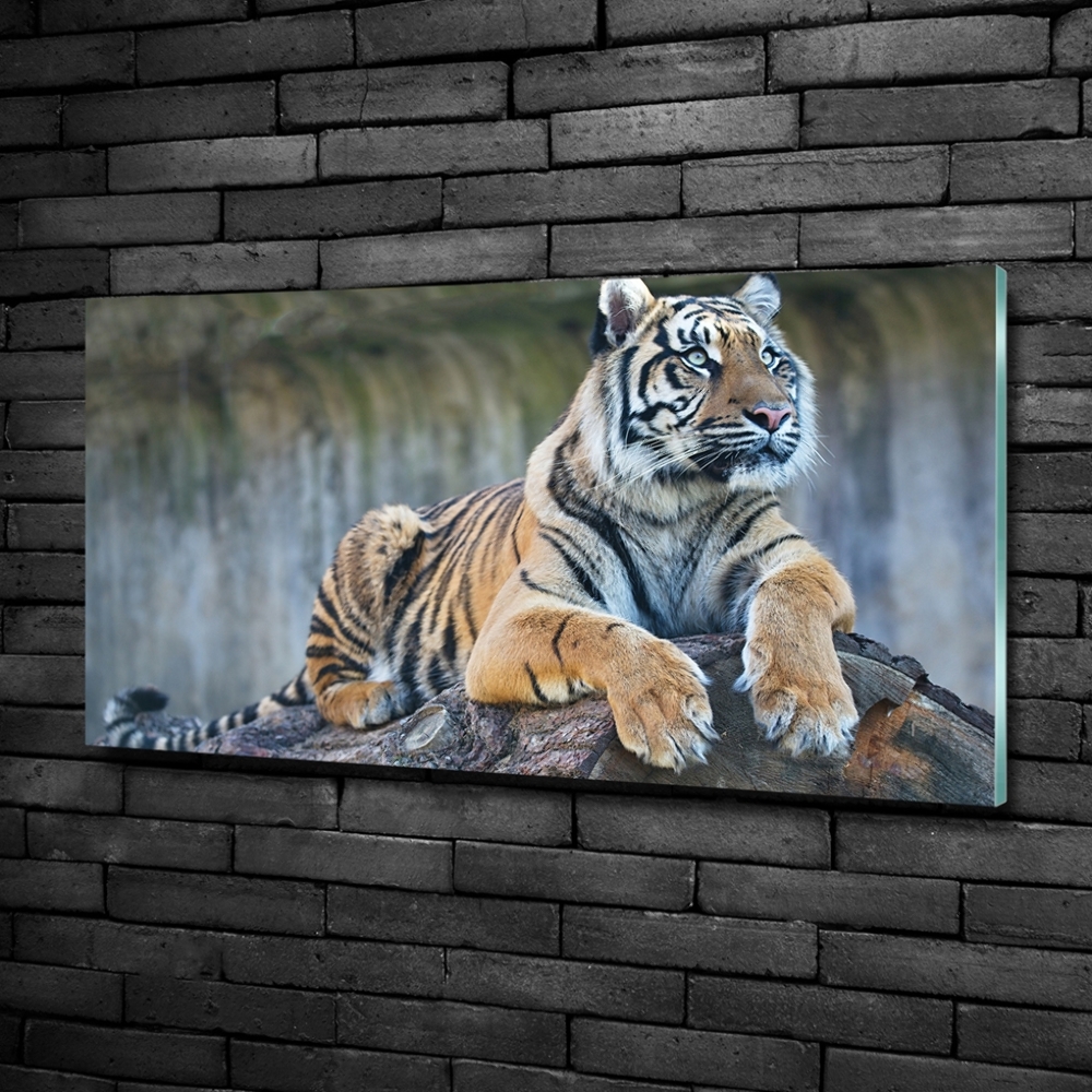 Glass wall art Tiger