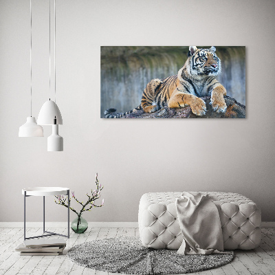 Glass wall art Tiger