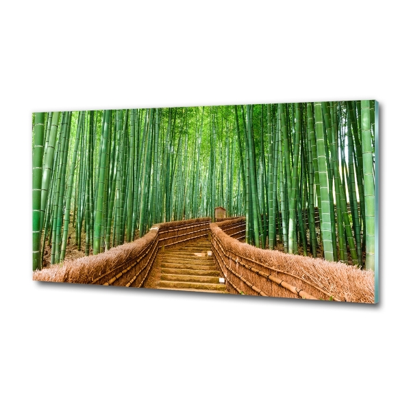 Printed glass wall art Bamboo forest