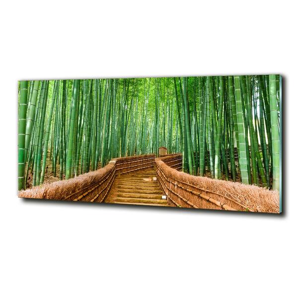 Printed glass wall art Bamboo forest