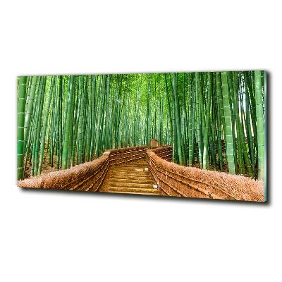 Printed glass wall art Bamboo forest