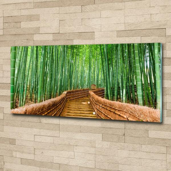 Printed glass wall art Bamboo forest