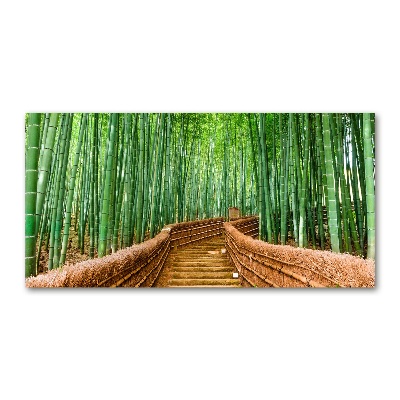 Printed glass wall art Bamboo forest