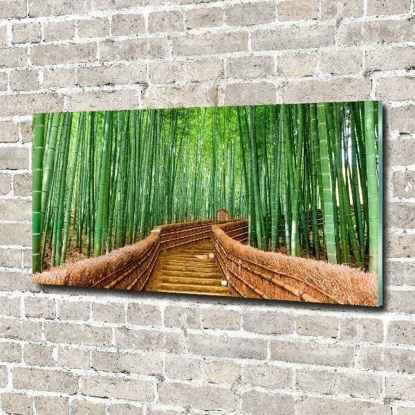 Printed glass wall art Bamboo forest