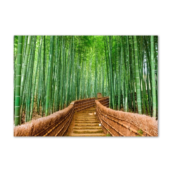 Printed glass wall art Bamboo forest